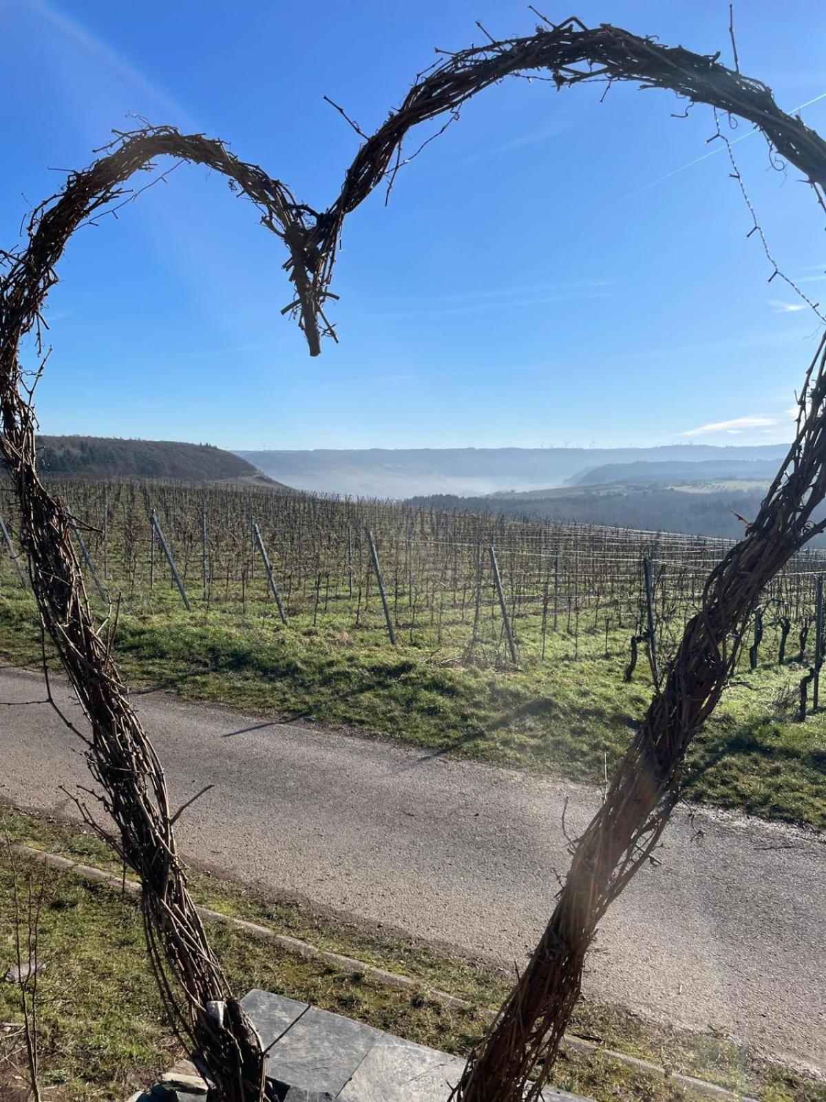 Fewo Waldblick - Urlaub Im Wein & Ferienort Bekond Exterior foto